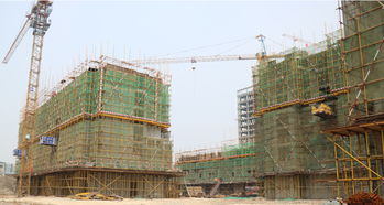 隆基泰和紫金府精品住宅建设工程施工进度一览