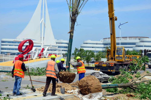 滨海区加速项目建设，全力打造精品工程